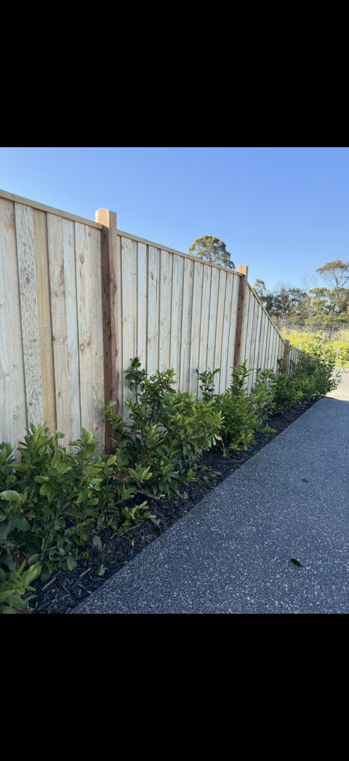 Completed timber boundary fence beside landscaping